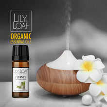Load image into Gallery viewer, Fennel - Organic Essential Oil