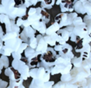 Black Dakota Popcorn