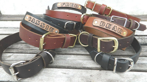 Leather Dog Leash (Mountain Leather)